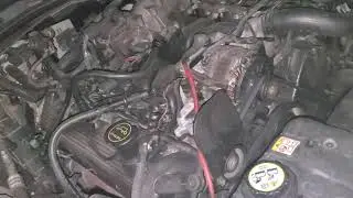 Crown vic fan update