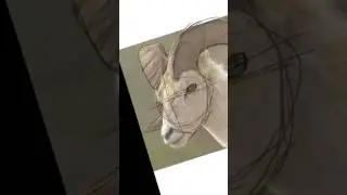 timelapse of sketching ram anime version
