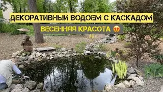 Декоративный водоем с каскадом. Весенняя красота
