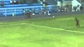 Imirante com    Imperatriz bate o Bacabal por 2 a 0