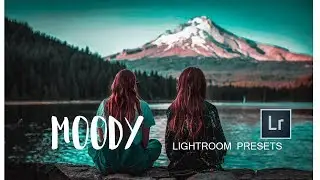Top 15  Free Lightroom Presets of 2019