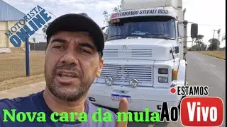 Novo visual da terezona nova cara nova aparência