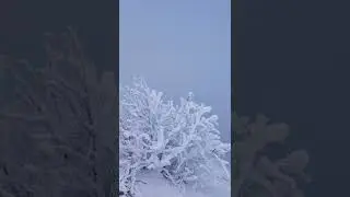 #winter #snowflakes #icecream #mist