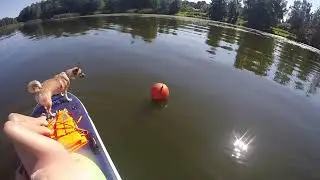 Baltezers SUPING. Aqua marina