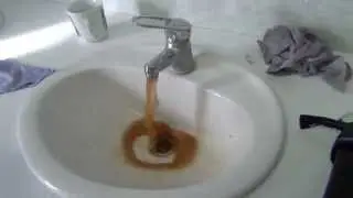 Hostel Style - orange water & shit