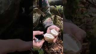 Што мы елі, лепш не распавядаць