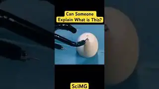 What is this? #scitech #scienceandtechnology #sciencetechnology