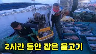 어부는 고기를 이만큼 잡고 얼마를 벌었을까?? (feat.드디어 위판장으로!!!)