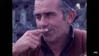 Музыканты