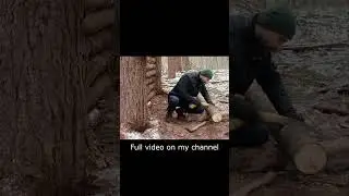 Building a Warm Shelter in the Wild Forest Shorts