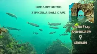 Delikli Tas | Karaburun Reef | Spearfishing