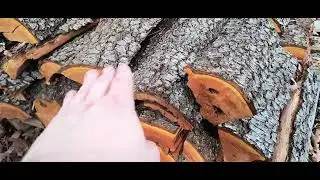 How to stack wood to allow it to dry and reduce creosote !