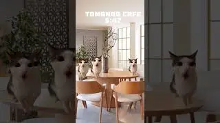 Pov: Viagem Em Família Edição Gatinhos Fofos       #gatinhosfofos   #gatosfofosindoviajar