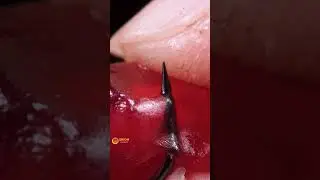 Pomegranate and Fishing Hook ASMR 