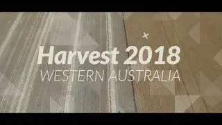 Western Australian Grain Harvest 2018 | By Drone [4K]
