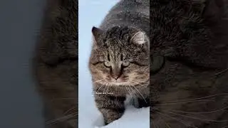 Новые фоточки любимчика ✨ 