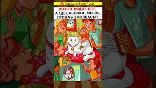 Котов видят все, а где мышь?
