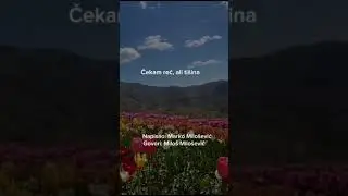 Našli su me u tvom srcu - poezija Marko Milošević // govori: Miloš Milošević