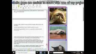 Learn basic html and css by Building a photo gallery part1