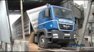 Зерновоз MAN 33 самосвальный кузов 