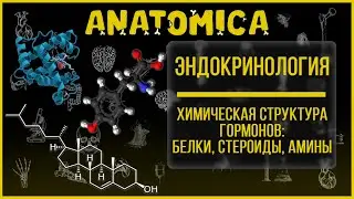 Биохимия гормонов / Химическая структура гормонов - белки, стероиды, амины / Эндокринология