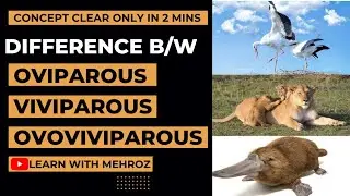 Difference between Oviparous | Viviparous | Ovoviviparous Class 12 Biology in Urdu/Hindi