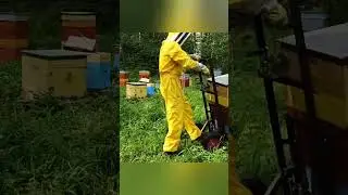 🐝🐝🐝Башкирский 