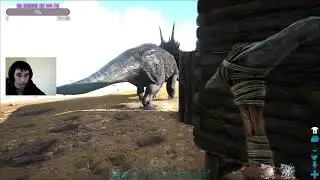 Как приручить дракона в ARK