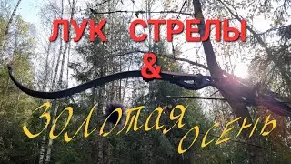 Лук, стрелы и золотая осень.