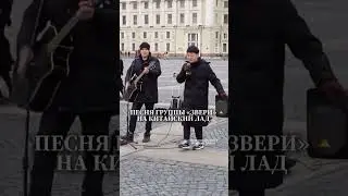 Группа звери на китайском