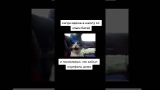 КОГДА ЕДЕШЬ В ШКОЛУ СО ЗЛЫМ БАТЕЙ И ПОНИМАЕШЬ ЧТО ЗАБЫЛ ПОРТФЕЛЬ ДОМА