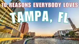 Discover the 10 Best TAMPA ATTRACTIONS!