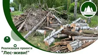 Лес - живи!