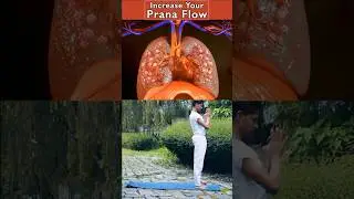 Increase Your Prana Flow 