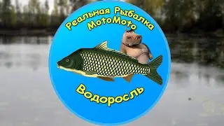Как поймать Водоросль на Карасёвом пруду [NEW] | Реальная Рыбалка
