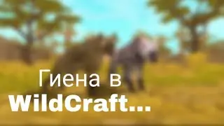 Гиена в WildCraft...