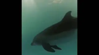 #РОЖДЕНИЕ