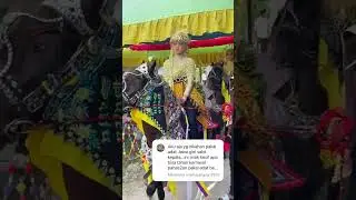 11 pengantin kuda tanjung Sumenep