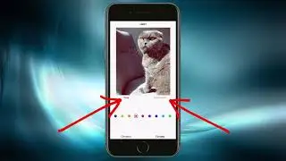 Как придать яркость, контраст, резкость, тепло и насыщенность фотографиям в Instagram