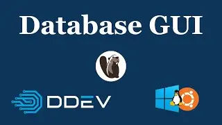 Database GUI for DDEV on WSL2