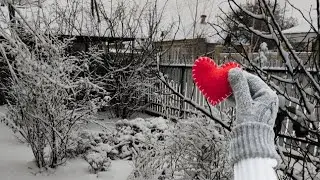 Времена года в нашем палисаднике
