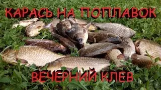 ЛОВЛЯ КАРАСЯ НА ПОПЛАВОЧНУЮ УДОЧКУ.ВЕЧЕРНИЙ КЛЕВ.рыбалка на карася