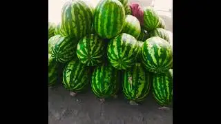 Фарғона вилояти Кува тумани "Деҳқон бозори"  ✓✓✓