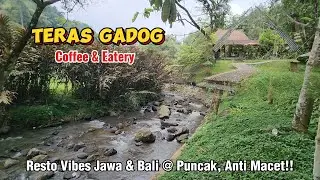 TERAS GADOG | Cafe Nuansa Alam di Megamendung Puncak, Bogor