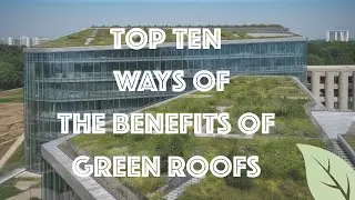 Top 10 Ways of the Benefits of Green Roofs