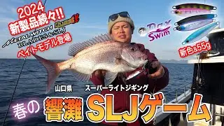 メタルウィッチクエストα最新モデルで釣るSLJ in 響灘