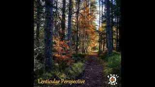 Phull Phat - Lenticular Perspective (Single)