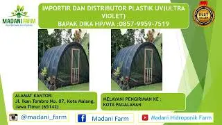 Jual Plastik Uv Di, Toko Jual Plastik Uv Di Pekanbaru HP/WA.0857-9959-7519(BAPAK DIKA)