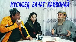 БОБОЙ мерган , чонон Шут хайвони 4 поха ( сахнай нав 2020 )