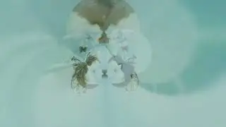 Boards of Canada - Music is Math (DARK MANA Remix)
